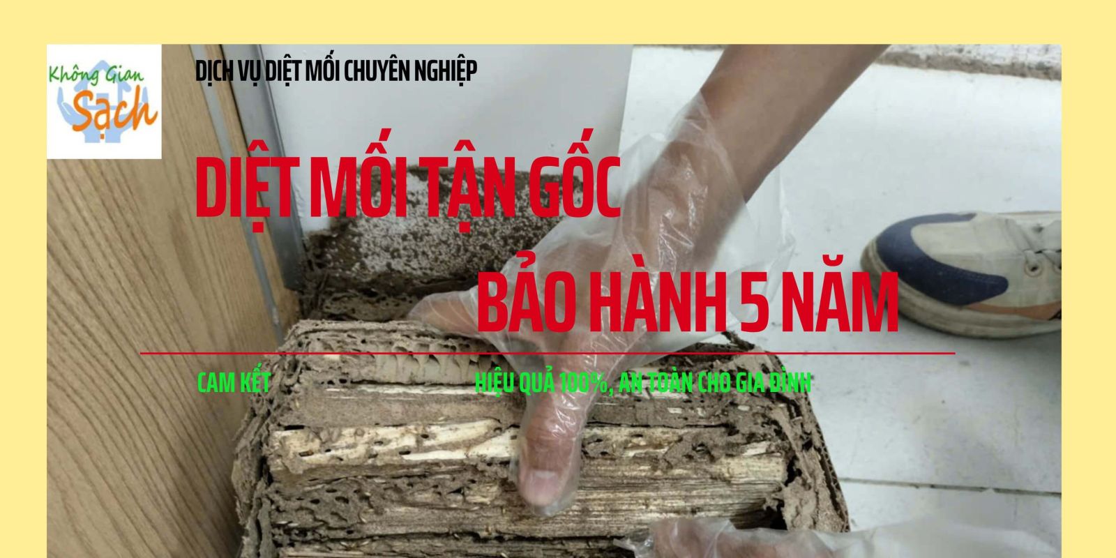 Di%E1%BB%87t%20M%E1%BB%91i%20T%E1%BA%ADn%20G%E1%BB%91c%202%20(1)(3)