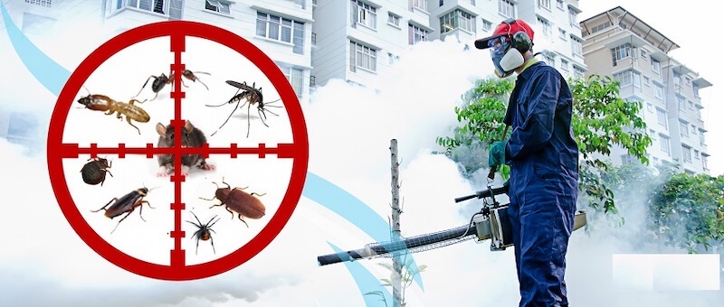 Các dịch vụ diệt côn trùng tại Công ty diệt côn trùng Không Gian Sạch.