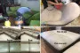 Giặt ghế Sofa hà nội Đỉnh Cao Sạch Sâu Khử Mốc Nồm Ẩm 2026
