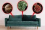 Cách Khử Mùi Hôi Trên Ghế Sofa