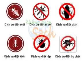 Dịch vụ diệt côn trùng uy tín chuyên nghiệp tại TPHCM