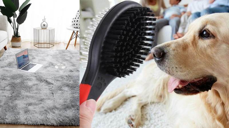 Các loại bàn chải và dụng cụ chải lông thú cưng