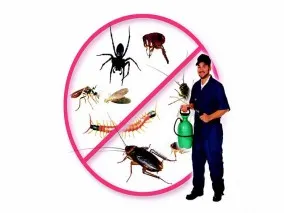 Dịch Vụ Diệt Côn Trùng Ở Hà Nội Uy Tín