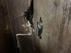 Dịch vụ phòng chống mối uy tín