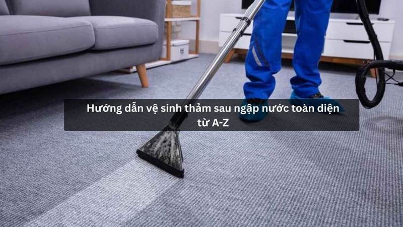 Hướng dẫn vệ sinh thảm sau ngập nước toàn diện từ A-Z