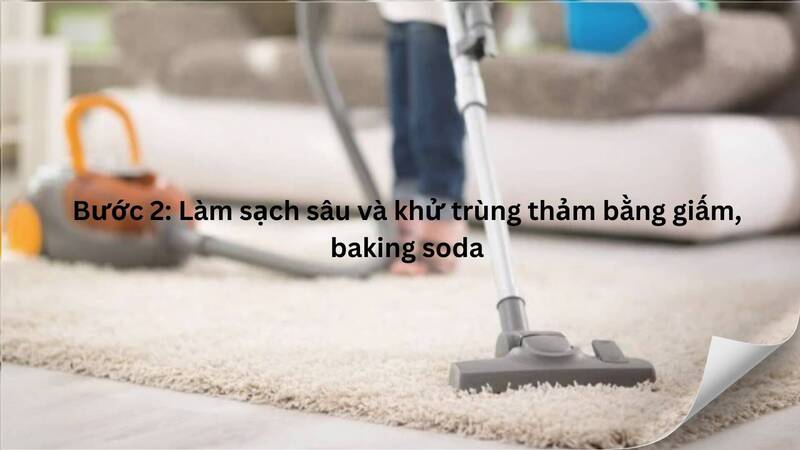 Làm sạch và khử trùng thảm bằng giấm hoặc baking soda