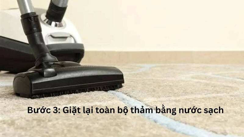 Giặt lại toàn bộ thảm bằng nước sạch