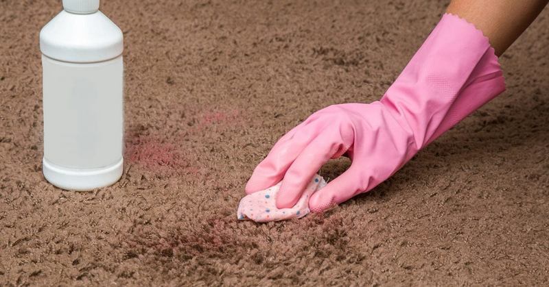 Phương pháp làm khô thảm đúng cách để ngăn ngừa nấm mốc