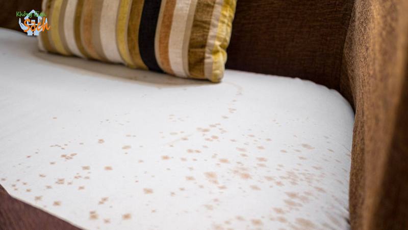 cach-lam-sach-ghe-sofa-da-trang-7