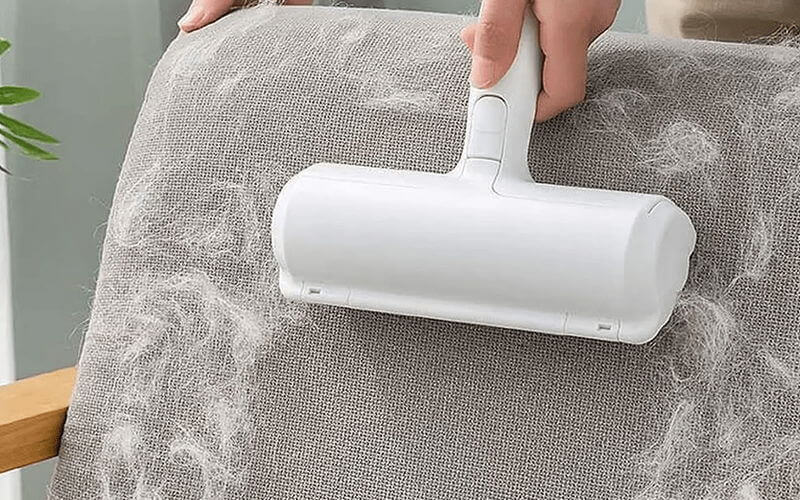 ghe-sofa-dinh-long-thu-cung-3