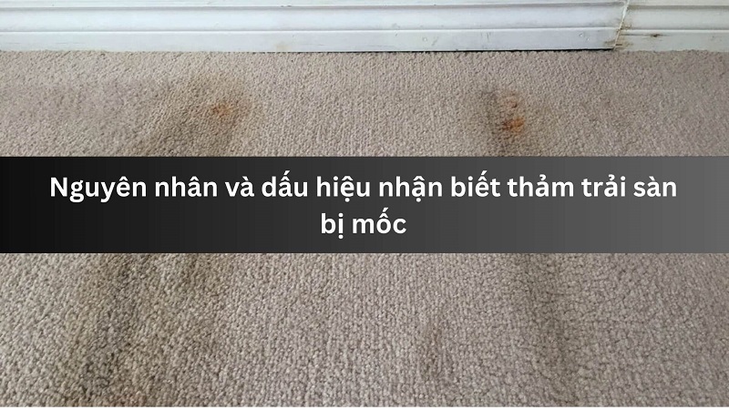 tham-trai-san-bi-moc-1