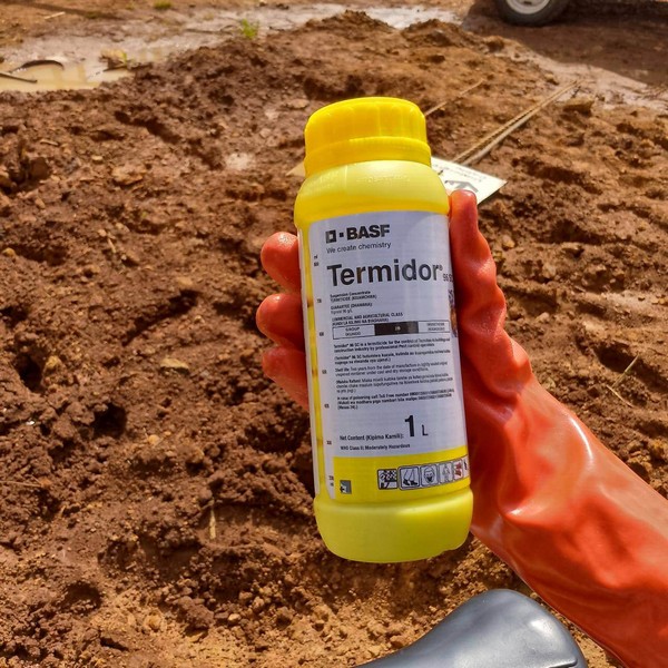 Cach-diet-moi-duoi-nen-nha-7