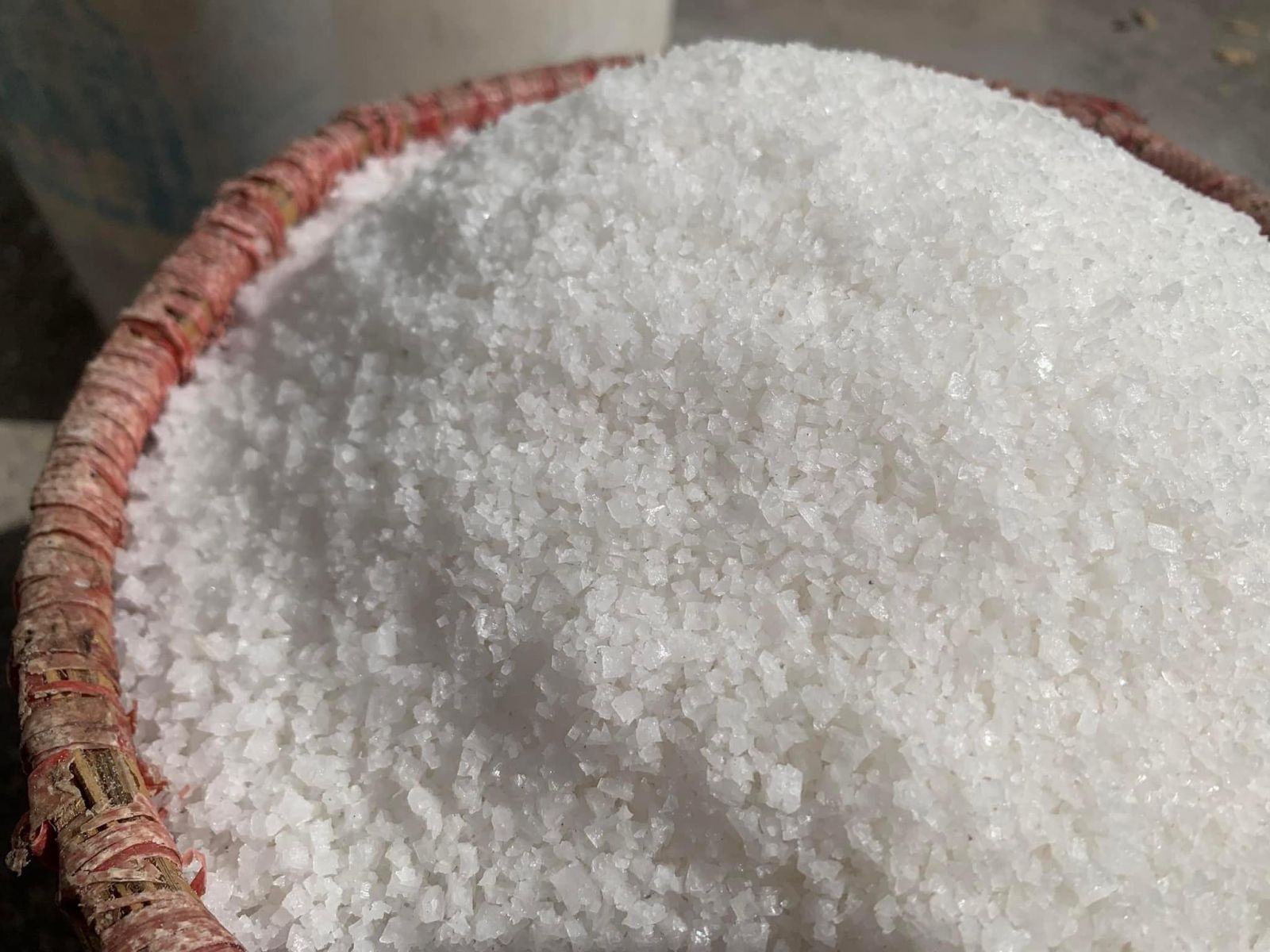 Diet-bo-chet-trong-nha-4