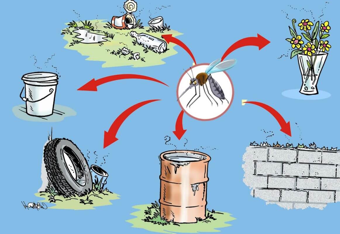 Mua-nao-nhieu-muoi-3