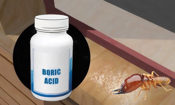 cach-diet-moi-trong-tu-quan-ao-2