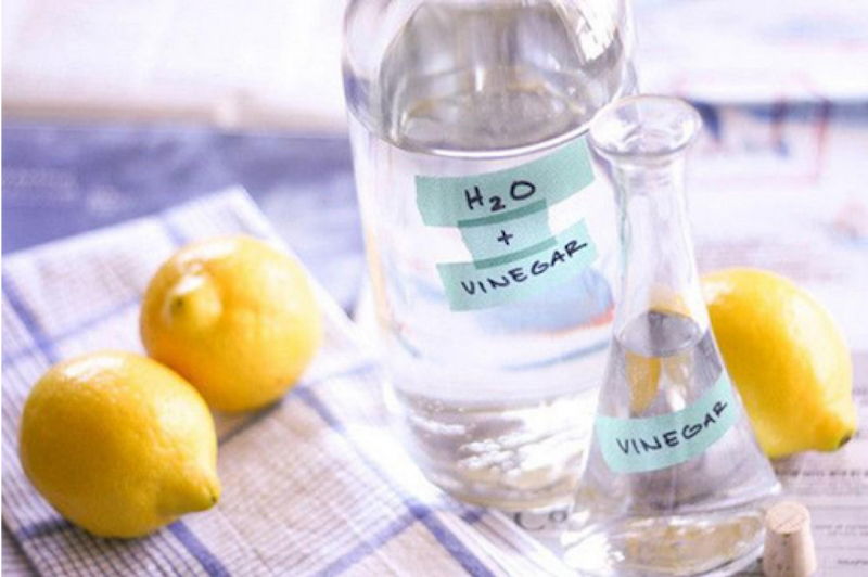 cach-duoi-kien-gio-ra-khoi-nha-6