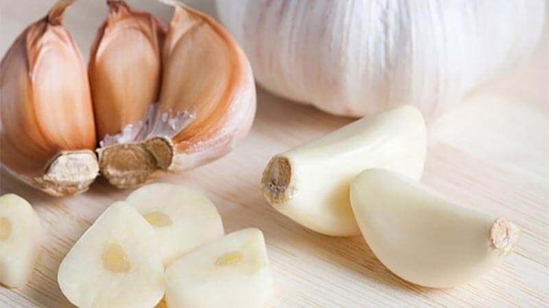 cach-duoi-kien-lam-to-trong-nha-4