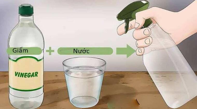 cach-duoi-kien-lam-to-trong-nha-5