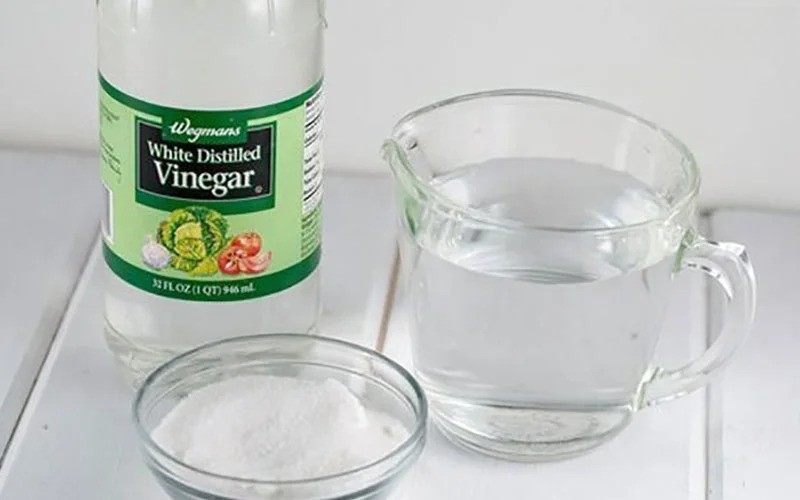 cach-duoi-kien-trong-phong-ngu-4