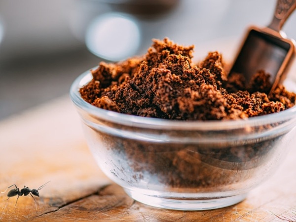 cach-duoi-kien-trong-phong-ngu-6