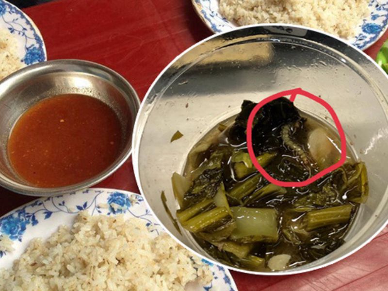 tai-sao-nha-co-nhieu-ret-con-2